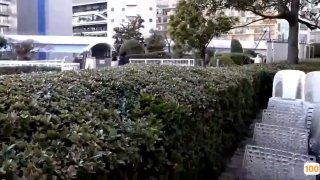 日韩无码.亚洲免费人成视频播放日本免费一区香蕉视频,亚洲毛片免费一级,国产在线精品一区亚洲毛片免费一级,国产在线精品一区二区不卡麻豆